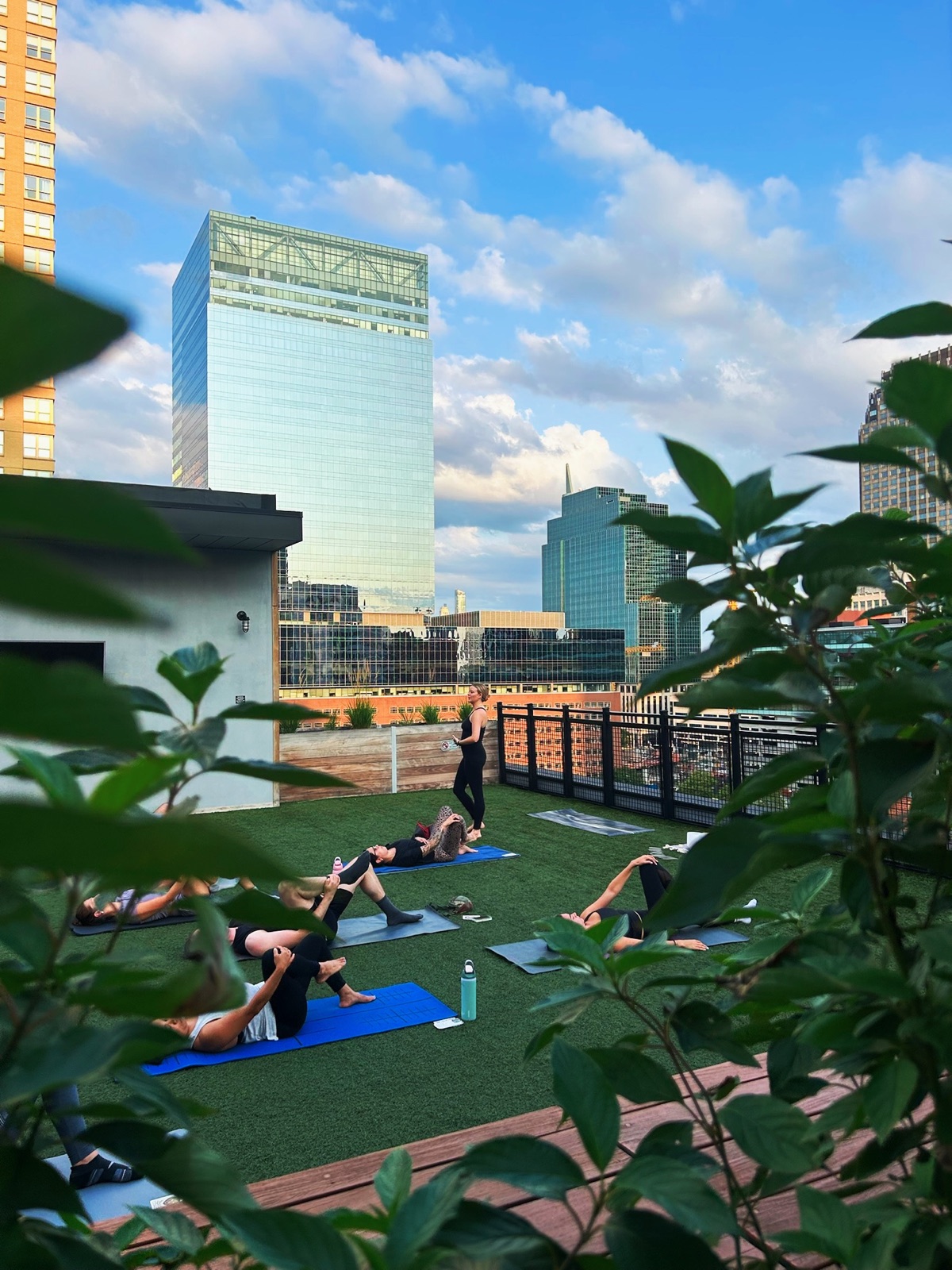 A group practicing yoga on a rooftop lawn above the city skyline, framed by leaves